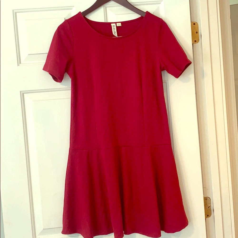 Wine Skater Dress